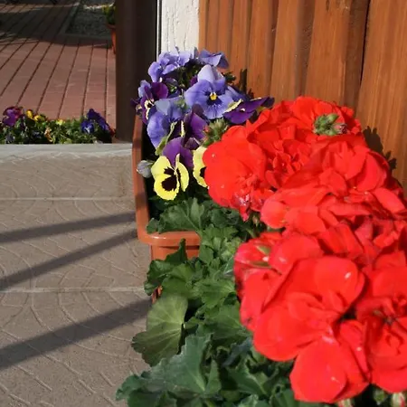 Narcyz Świeradów-Zdrój