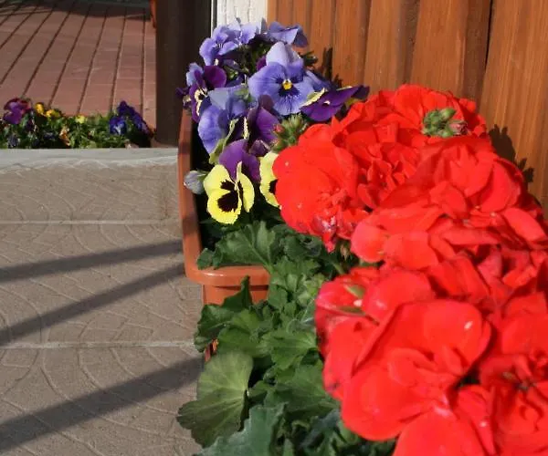 Narcyz Świeradów-Zdrój